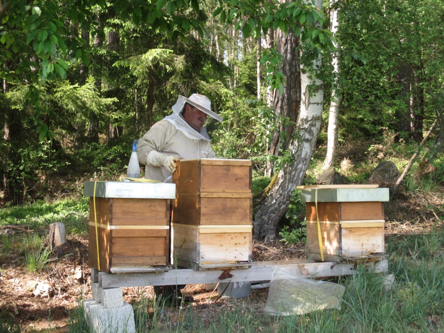 Startseite 10 heini und die bienen ueber mich als imker
