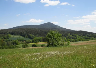 Startseite 2 Wiese für die Bienen in Haus Bad Kötzting