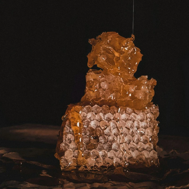 Unser Honig 1 traditionelle imkerei bad koetzting kiefl honigwabe